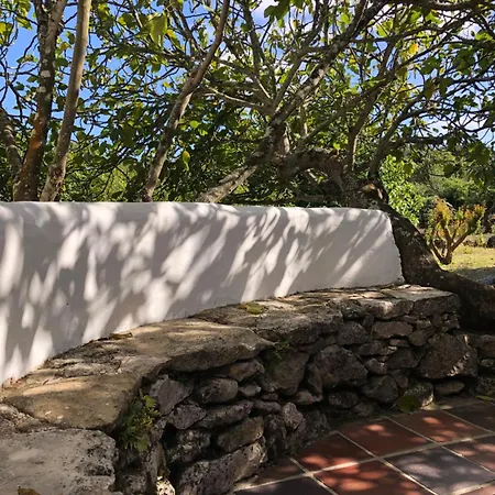 Boutique Feriehus Reguengo Grande